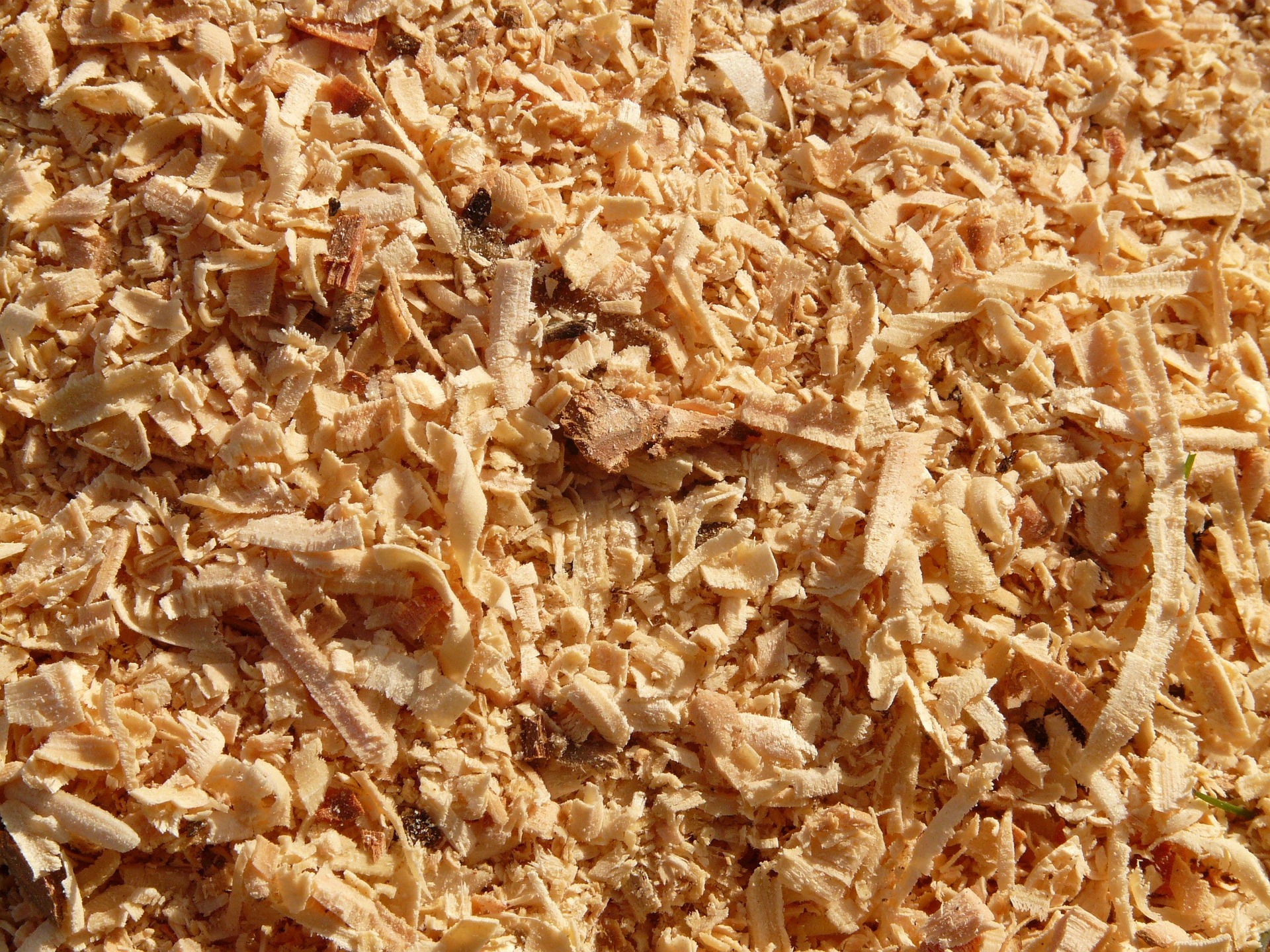 Sawdust 5892 1920